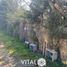  Land for rent in Melipilla, Santiago, Melipilla, Melipilla