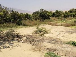  Terreno (Parcela) en venta en Distrito de Lima, Lima, Distrito de Lima, Lima, Lima