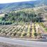  Land for sale in Chile, Quillota, Quillota, Valparaiso, Chile