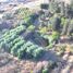  Land for sale in Chile, Quillota, Quillota, Valparaiso, Chile
