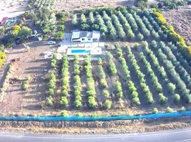  Land for sale in Chile, Quillota, Quillota, Valparaiso, Chile