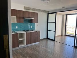 1 chambre Appartement for rent in Équateur, Tomas De Berlanga Santo Tomas, Isabela, Galapagos, Équateur