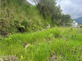  Terreno (Parcela) en alquiler en Manizales, Caldas, Manizales