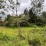  Terreno (Parcela) en venta en Rionegro, Antioquia, Rionegro