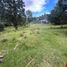  Land for sale in Rionegro, Antioquia, Rionegro