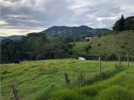  Land for sale in El Carmen De Viboral, Antioquia, El Carmen De Viboral