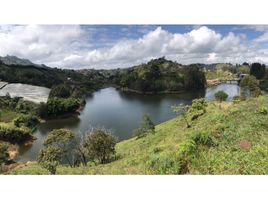  Grundstück zu verkaufen in Penol, Antioquia, Penol