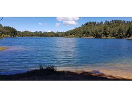  Grundstück zu verkaufen in Guatape, Antioquia, Guatape