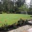 6 Bedroom House for sale in Antioquia, Rionegro, Antioquia