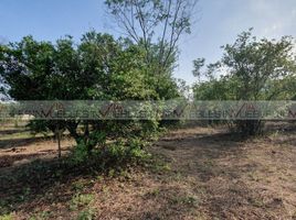  Terreno (Parcela) en venta en Allende, Nuevo León, Allende