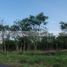  Terreno (Parcela) en venta en Allende, Nuevo León, Allende