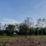  Terreno (Parcela) en venta en Allende, Nuevo León, Allende