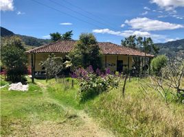 3 Habitación Villa en venta en Yarumal, Antioquia, Yarumal