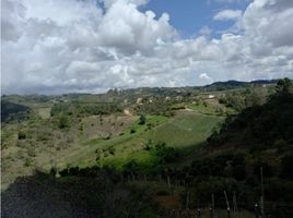  Grundstück zu verkaufen in San Vicente, Antioquia, San Vicente