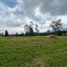  Land for sale in La Ceja, Antioquia, La Ceja