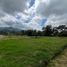  Land for sale in La Ceja, Antioquia, La Ceja