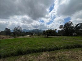  Land for sale in La Ceja, Antioquia, La Ceja