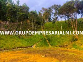  Terrain for sale in Envigado, Antioquia, Envigado