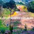  Land for sale in Envigado, Antioquia, Envigado