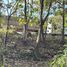  Terreno (Parcela) en venta en Nueva Gorgona, Chame, Nueva Gorgona