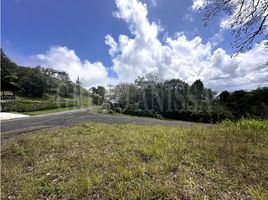  Terreno (Parcela) en venta en Chame, Panamá Oeste, Sorá, Chame