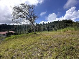  Land for sale in Chame, Panama Oeste, Sora, Chame