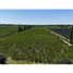 Studio Villa for sale in Junin, Mendoza, Junin