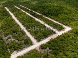  Grundstück zu verkaufen in Chicxulub Pueblo, Yucatan, Chicxulub Pueblo, Yucatan