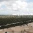  Grundstück zu verkaufen in Chicxulub Pueblo, Yucatan, Chicxulub Pueblo, Yucatan