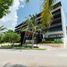 在Quintana Roo出租的开间 住宅, Isla Mujeres, Quintana Roo