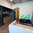 Estudio Apartamento en alquiler en Miguel Hidalgo, Ciudad de México, Miguel Hidalgo, Ciudad de México