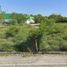  Land for rent in Reynosa, Tamaulipas, Reynosa, Tamaulipas