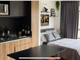 1 Habitación Apartamento en alquiler en Miguel Hidalgo, Ciudad de México, Miguel Hidalgo
