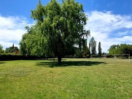  Terreno (Parcela) en venta en Lujan De Cuyo, Mendoza, Lujan De Cuyo