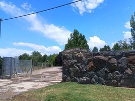  Terreno (Parcela) en venta en Lujan De Cuyo, Mendoza, Lujan De Cuyo