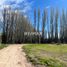  Land for sale in Neuquen, Confluencia, Neuquen