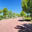  Land for sale in Neuquen, Confluencia, Neuquen