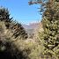  Land for sale in Rio Negro, Bariloche, Rio Negro