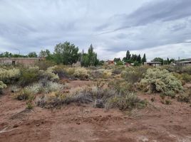  Land for sale in Confluencia, Neuquen, Confluencia