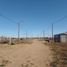  Land for sale in Confluencia, Neuquen, Confluencia