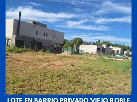  Land for sale in Confluencia, Neuquen, Confluencia