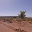  Land for sale in Picun Leufu, Neuquen, Picun Leufu