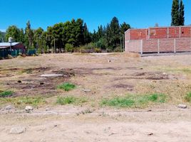  Land for sale in Confluencia, Neuquen, Confluencia