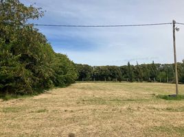  Land for sale in La Plata, Buenos Aires, La Plata