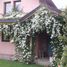 4 chambre Maison for sale in Cushamen, Chubut, Cushamen