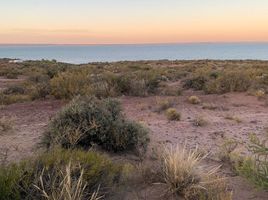  Terreno (Parcela) en venta en Neuquen, Confluencia, Neuquen