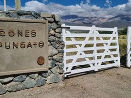  Land for sale in Tupungato, Mendoza, Tupungato