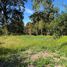  Terreno (Parcela) en venta en Los Ríos, Lago Ranco, Ranco, Los Ríos