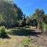  Terreno (Parcela) en venta en Los Ríos, Lago Ranco, Ranco, Los Ríos