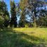  Terreno (Parcela) en venta en Los Ríos, Lago Ranco, Ranco, Los Ríos